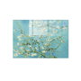 Wallity Cuadro decorativo de vidrio templado Multicolor 70 x 100 cm